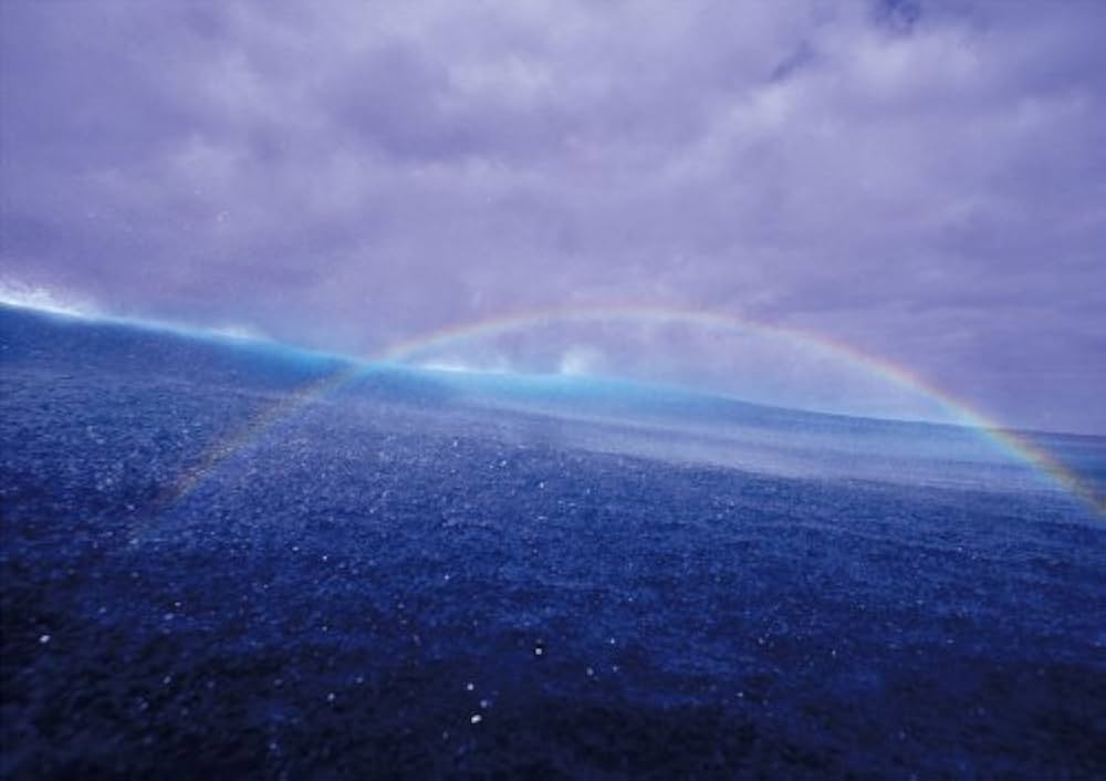 杏橋幹彦　写真集　BLUE FOREST　希少DVDセット 杏橋幹彦 写真集 BLUE FOREST 希少DVDセット - メルカリ